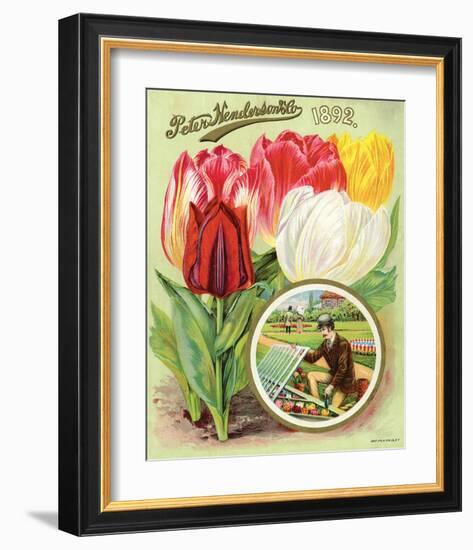 Henderson 1892 Tulips-null-Framed Art Print