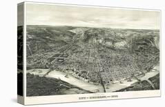 Panoramic View of the City of Cincinnati, Ohio, 1900-Henderson Litho Co^-Giclee Print