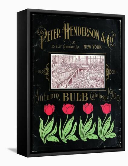 Henderson Tulips-Vintage Apple Collection-Framed Premier Image Canvas