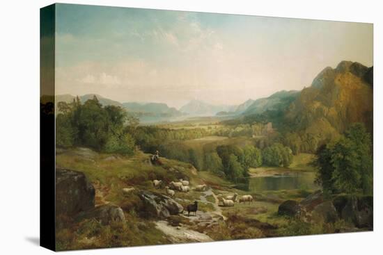 Stretched Canvas Print, , large
