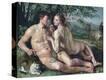 Stretched Canvas Print