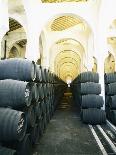 The Alejandro Fernandes Winery, Pesquera de Duero, Spain-Hendrik Holler-Framed Photographic Print