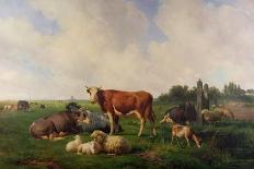 Animals Grazing in a Meadow-Hendrikus van de Sende Baachyssun-Framed Giclee Print