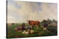 Stretched Canvas Print