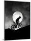 Premium Photographic Print