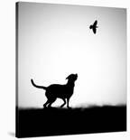 Allegro-Hengki Lee-Framed Photographic Print