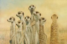 Meerkats-Henk Van Zanten-Mounted Art Print