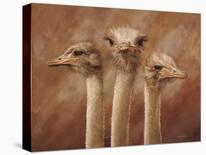 Meerkats-Henk Van Zanten-Framed Stretched Canvas