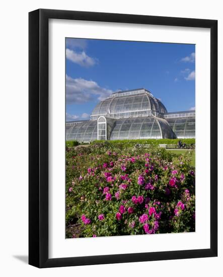 Henley Regatta, Henley-On-Thames, Oxfordshire, England, United Kingdom-Charles Bowman-Framed Photographic Print