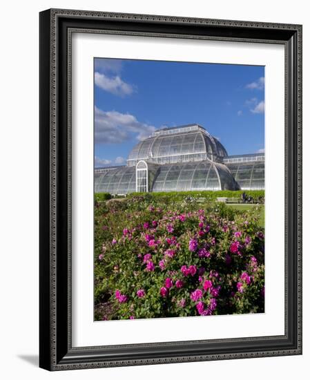 Henley Regatta, Henley-On-Thames, Oxfordshire, England, United Kingdom-Charles Bowman-Framed Photographic Print