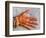 Henna Design on Woman's Hands, Delhi, India-Bill Bachmann-Framed Photographic Print