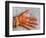 Henna Design on Woman's Hands, Delhi, India-Bill Bachmann-Framed Photographic Print