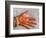 Henna Design on Woman's Hands, Delhi, India-Bill Bachmann-Framed Photographic Print