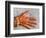 Henna Design on Woman's Hands, Delhi, India-Bill Bachmann-Framed Photographic Print