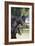 Hennessy Arabians 001-Bob Langrish-Framed Photographic Print