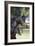 Hennessy Arabians 001-Bob Langrish-Framed Photographic Print