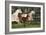 Hennessy Arabians 009-Bob Langrish-Framed Photographic Print