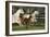 Hennessy Arabians 009-Bob Langrish-Framed Photographic Print