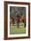 Hennessy Arabians 012-Bob Langrish-Framed Photographic Print