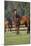 Hennessy Arabians 012-Bob Langrish-Mounted Photographic Print
