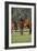 Hennessy Arabians 012-Bob Langrish-Framed Photographic Print