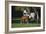 Hennessy Arabians 015-Bob Langrish-Framed Photographic Print