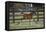 Hennessy Arabians 016-Bob Langrish-Framed Premier Image Canvas