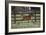 Hennessy Arabians 016-Bob Langrish-Framed Photographic Print