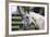 Hennessy Arabians 021-Bob Langrish-Framed Photographic Print