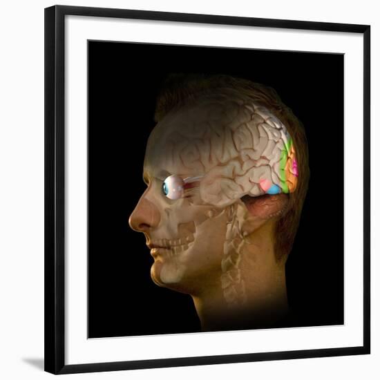Photographic Print, , large