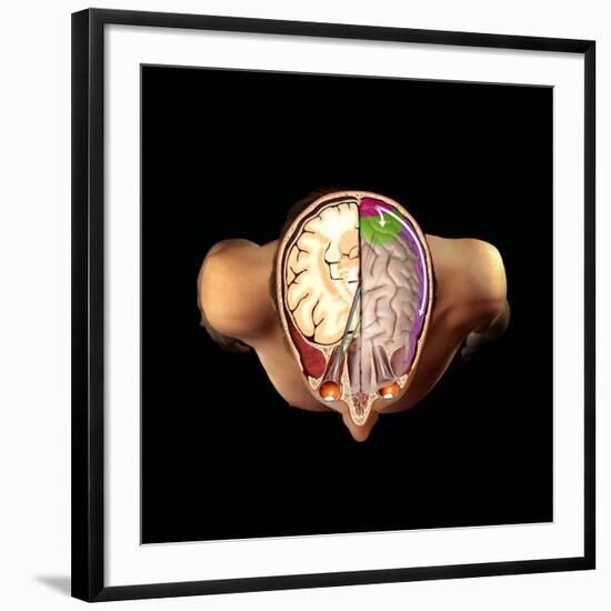 Photographic Print, , large