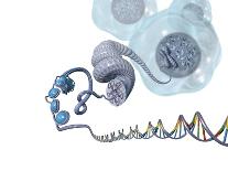 DNA Packaging, Artwork-Henning Dalhoff-Framed Photographic Print