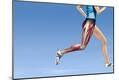 Premium Photographic Print