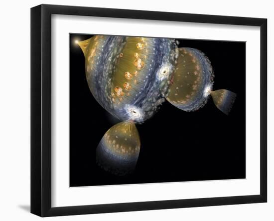 Photographic Print, , large