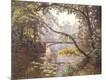 Giclee Print