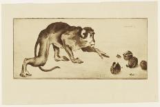 Monkey and Chestnuts, 19Th Century (Etching & Roulette)-Henri-Charles Guérard-Giclee Print