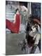 Premium Giclee Print