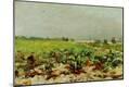 Giclee Print