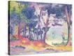 Stretched Canvas Print