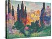 Stretched Canvas Print