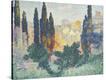 Stretched Canvas Print