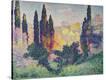 Stretched Canvas Print