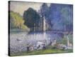 Stretched Canvas Print
