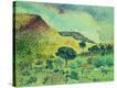 Stretched Canvas Print