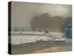 Stretched Canvas Print