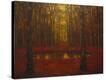 Stretched Canvas Print