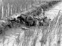 Vietnam War Submerged Gunner-Henri Huet-Photographic Print