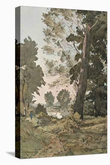 Stretched Canvas Print, , large