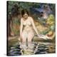 Stretched Canvas Print