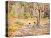 Stretched Canvas Print